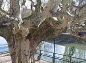 Strasbourg sous soleil