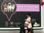 Faites Check-In Foursquare pour faire manger gratuitement votre chien