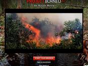 DeforestACTION Project Borneo