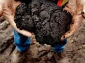 Québécois pour sables bitumineux