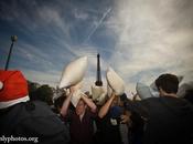 Pillow Fight 2011 Paris. (Bataille géante Polochons)