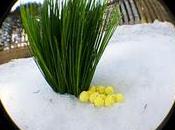 lundi parmi tant d'autres