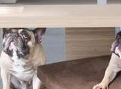 Mobilier humano-animal