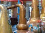 Kezako signifie filtré froid