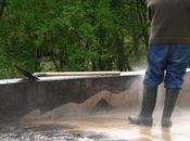 jolie petite plage, nouveau rose ....