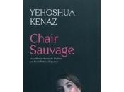 parle Chair sauvage autres histoires, Yehoshua Kenaz