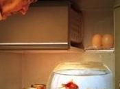 Alzheimer gestionnaire cas, intermédiaire privilégié