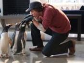 Popper’s Penguins: Nouvelle Bande-annonce frappée