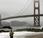 Elle survit chute mètres, haut Golden Gate Brigde