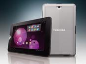 Toshiba officialise enfin tablette REGZA AT300