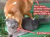 Billet invités conspiration formats grand jour