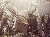 Comment suis devenue Lectrice