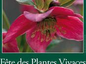 Saint-Jean-de-Beauregard accueille Clinique Plantes 1er, avril lors Fête Vivaces