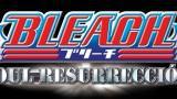 Bleach faire ménage