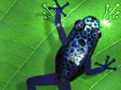 Télécharger d’urgence! Ancient Frog