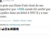 #DSK Tweeter coeur