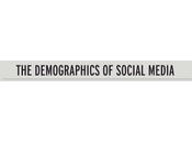 Infographie démographie médias sociaux