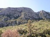 Festa trail saint loup