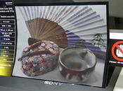 nouvel écran flexible chez Sony