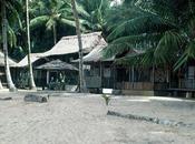 Nias, 1993