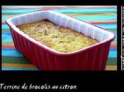 Terrine brocolis citron