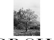 Delorean: Grow (Taragana Pyjarama Remix) Original -...