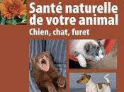 Prendre soin votre animal: santé naturel