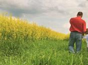Vous rêviez d'une ville campagne week-end ferme était sous soleil, Place République Lille.