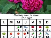 Jardiner avec lune Juin 2011