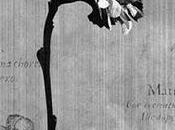 will stay till comes Atelier 07/06 25/06