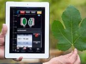 vend rein pour iPad