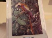 d’écrans Mirasol avant 2012