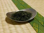 Sae-midori Krishima, récolte manuelle