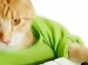 Keyboard mange pistaches