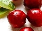 cranberry fruit santé