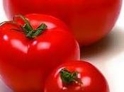 Faut-il avoir peur tomates concombres