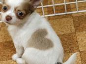 Joyeuse Saint-Valentin