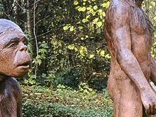 Comment Cro-Magnon faisait-il l’amour