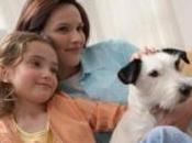 ALLERGIES: animaux domestiques, facteur désensibilisation dans l’enfance Clinical Experimental Allergy