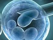 BIOÉTHIQUE: Recherche l’embryon interdite mais avec dérogations Sénat-CMP