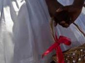 Panier d'osier autres petites brèves