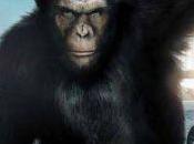 Planète singes origines: nouvelle bande annonce l'affiche Française