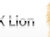 Lion disponible Gold Master
