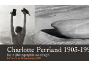 Exposition Charlotte Perriand Petit Palais