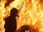 Réchauffement climatique incendies forêt cause