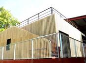 Petit Bain bouillon culture