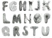 Inspiration typographie mousse lichens d’Ooli