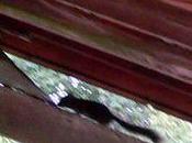 spectacle matin l'écureuil