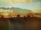 [Forthcoming] Shonky Oasis