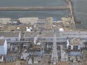 Fukushima, taux radioactivité quatre fois supérieurs limite légale